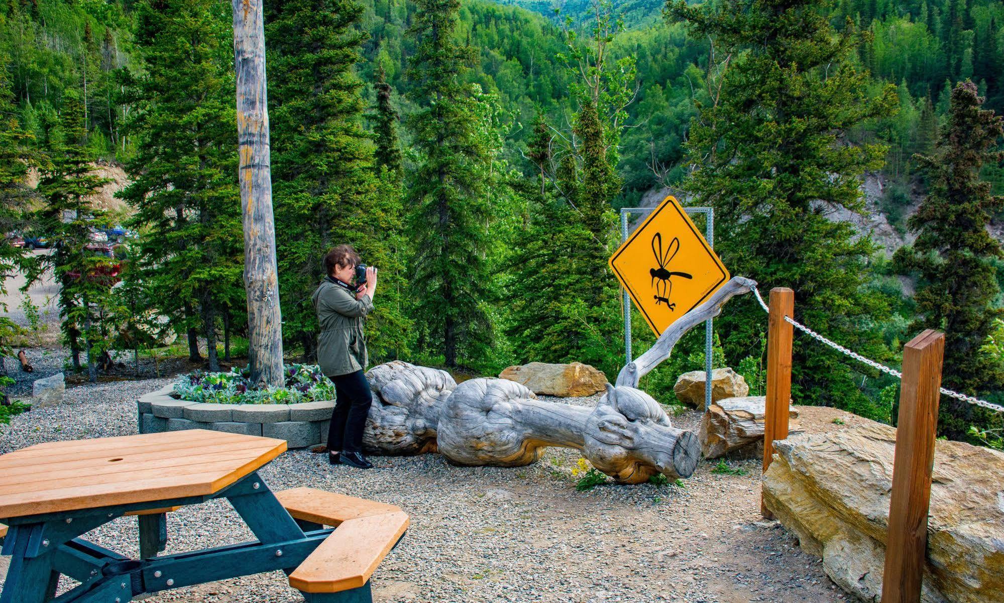Grande Denali Lodge Denali Park Экстерьер фото